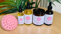 Moringa Gift Bundle